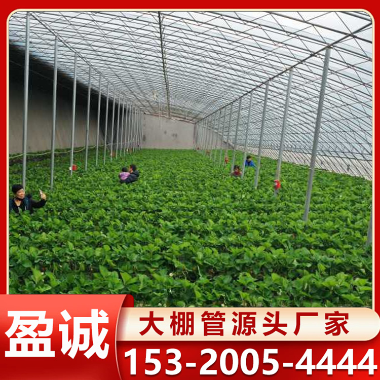 智慧农业大棚保温性能好 草莓棚 种植温室大棚 大棚骨架建造