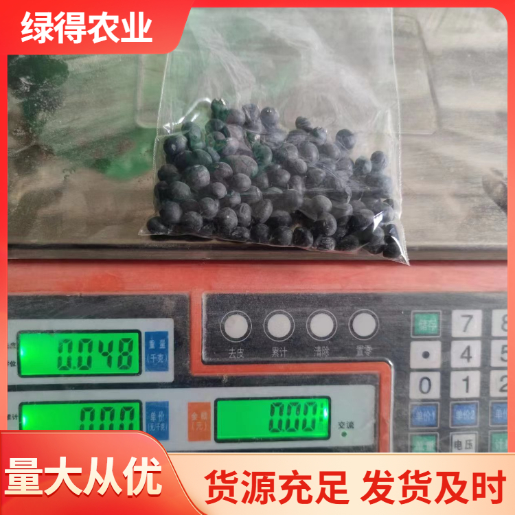 黑大豆种型号齐全