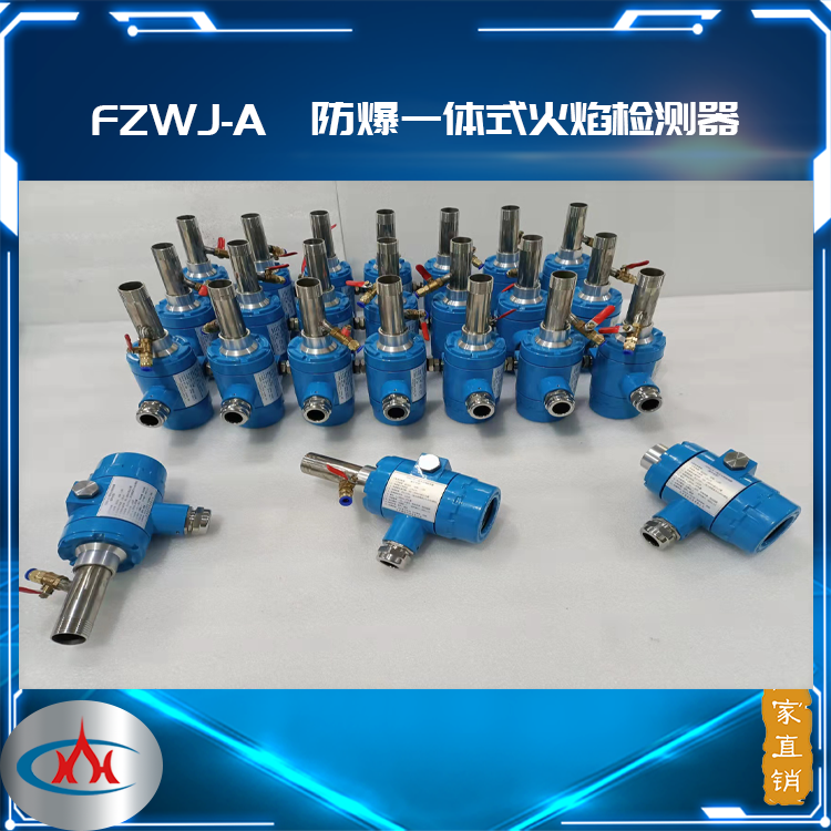 FZWJ-A防爆一体式火焰检测 支持定制
