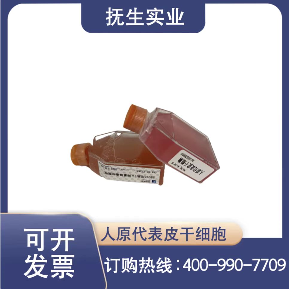 3T3-F442A小鼠脂肪前体细胞NALM6cloneG5人急性淋巴细胞白血病细胞G5克隆