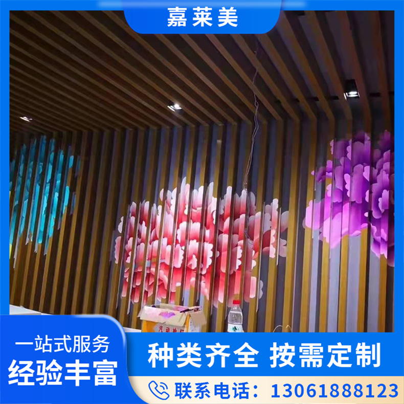 3D立体画墙绘彩绘 公园景区墙面地面绘画 美采