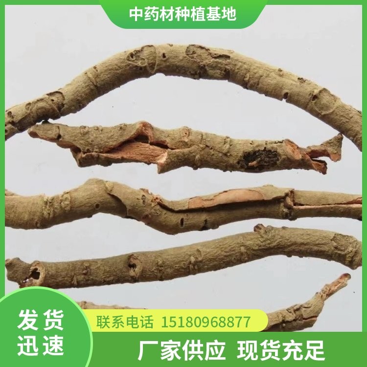 牡丹皮种苗 易种植 大量现货批发