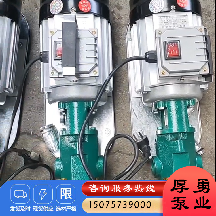 WCB手提式小型油泵 电动小流量自吸式齿轮泵 运行稳定