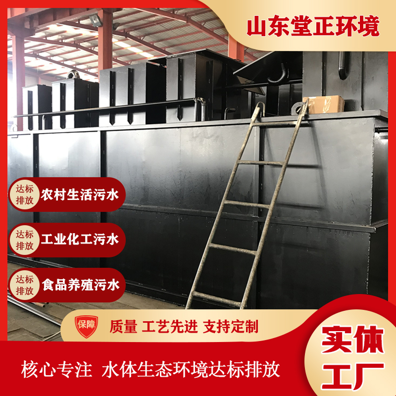 一体化污水设备升级改造 污水厂维修升级提标 污水处理量增大 堂正