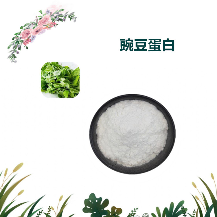 沃特莱斯生物 豌豆蛋白 豌豆粉 水溶性很好 1公斤起订