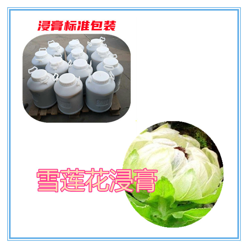 雪莲花提取物 10:1 水提 雪莲培养物粉 雪莲花水溶粉