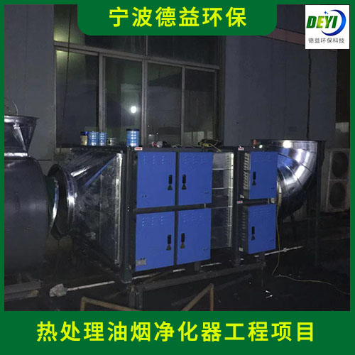 回火炉油烟净化器 操作轻松省力 多级过滤 宁波德益环保