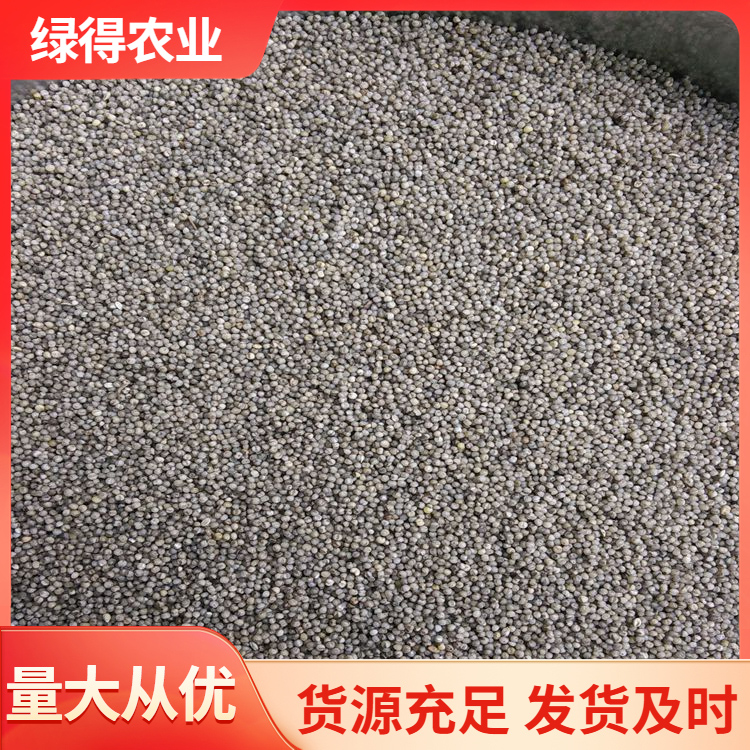 黑谷种精选材质