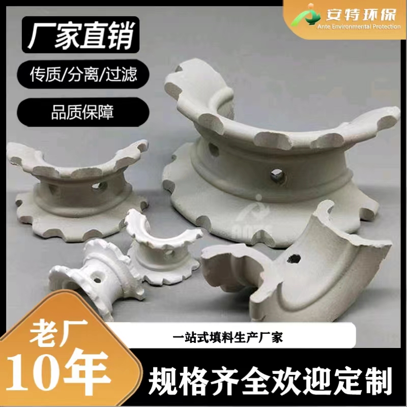 陶瓷异鞍环 耐高温干吸塔散堆填料25mm38mm50mm76mm 安特环保