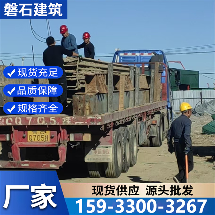 钢板桩支护施工 基坑支护基础工程 市政建桥施工用 高效作业