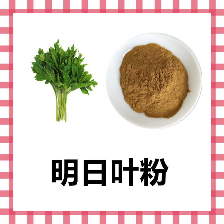 明日叶粉  粉质细腻 易溶解 口感佳 纸板桶包装 易保存 六盘韵
