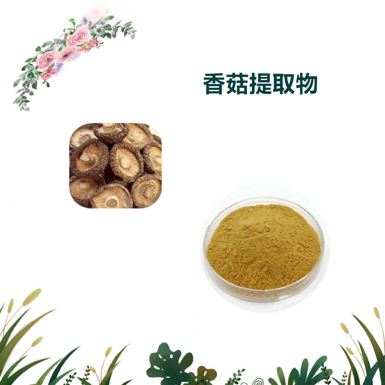 沃特莱斯生物 香菇粉 香菇多糖 香菇提取物1公斤起订 可寄样