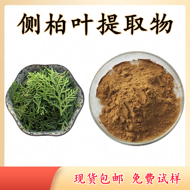 侧柏叶提取物 过筛灭菌 80-120目 含税运 多种含量规格