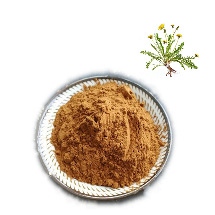 蒲公英粉 水溶浓缩提取 斯诺特生物 蒲公英黄酮
