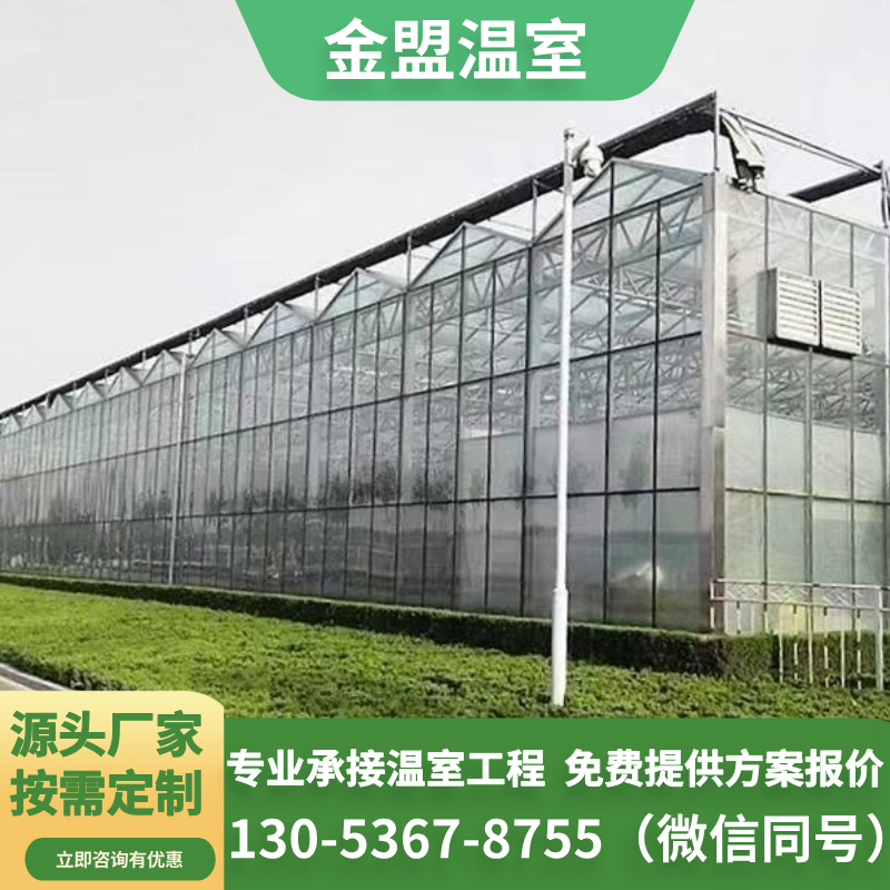 金盟-连栋温室大棚建设 可实地测量搭建 利用空间大 无土栽培 按需定制