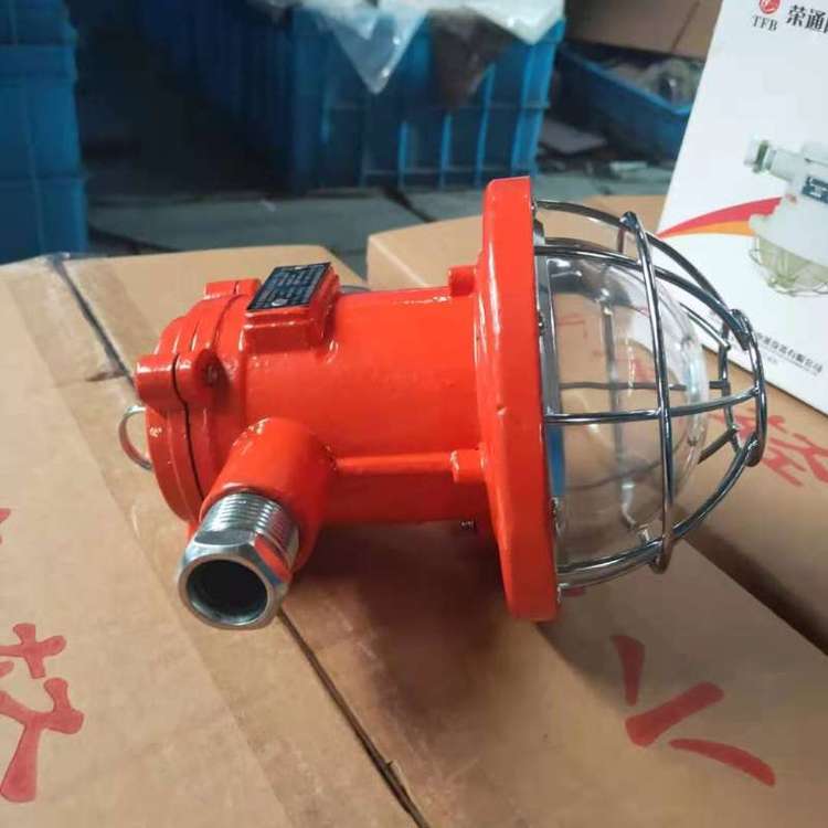 18W巷道灯矿用隔爆型支架灯防水防尘70W1000W荣通电器