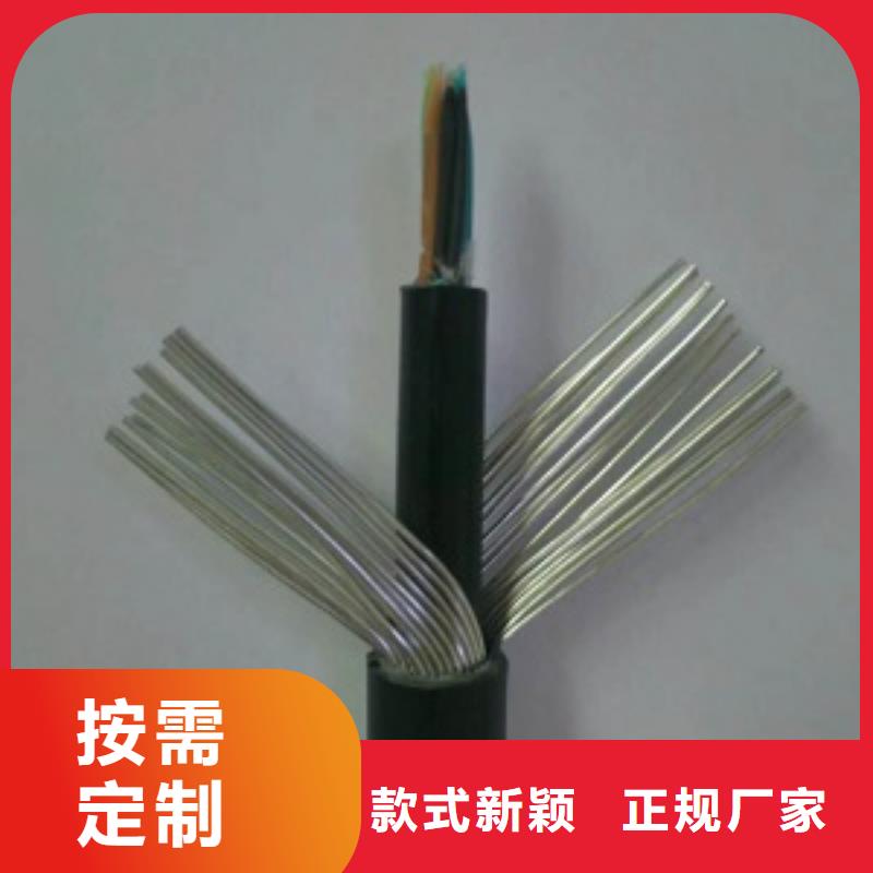 阻燃矿用爆破母线2X1.0MBM