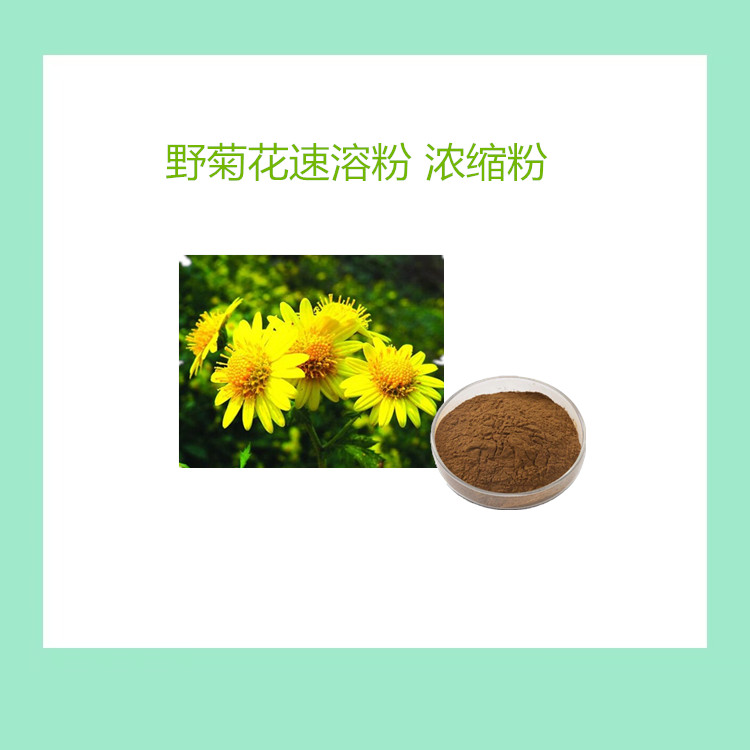 野菊花速溶粉 浓缩粉 食品级 全水溶 厂家批发 1公斤起订 包邮