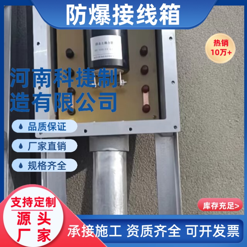 300*420阳极接线箱 防爆分线箱 订做防爆接线箱防爆配电箱隔爆型