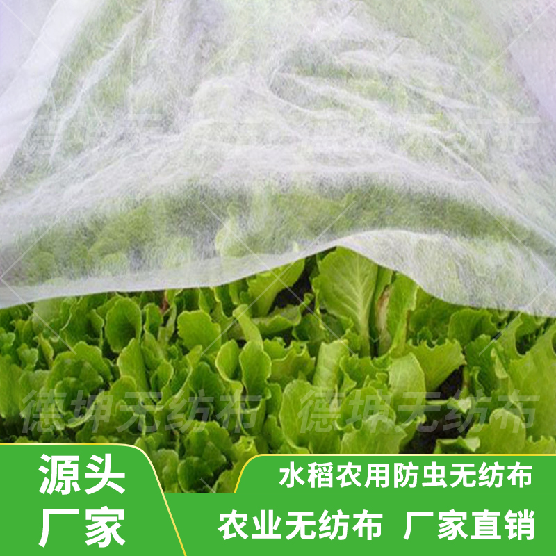 pp30克pp纺粘农用无纺布全新料聚丙烯育秧育苗