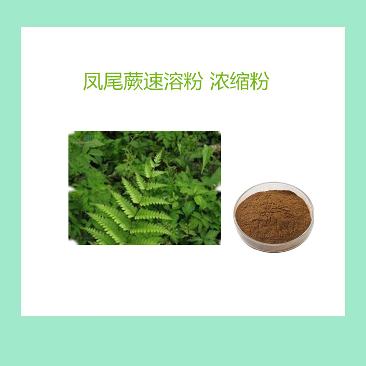 凤尾蕨粉   喷雾干燥青蕨速溶粉  食品级 水溶性原料1公斤起订 包邮