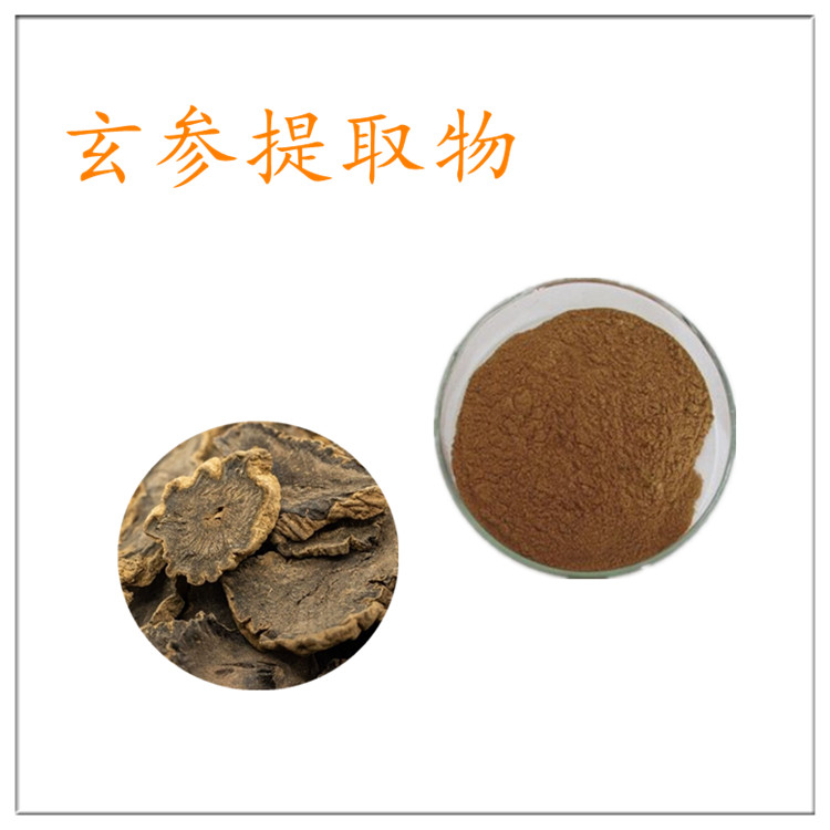 玄参提取物 玄参粉 浸膏粉 水溶性好 质量稳定