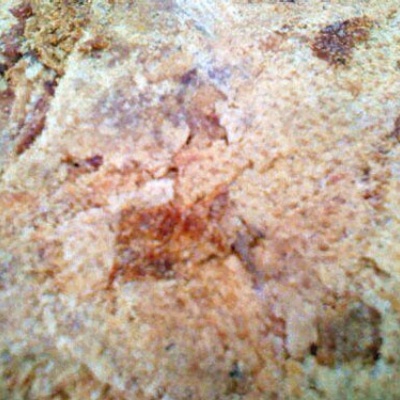 厂家直销宠物狗狗零食鲜鸭肉粉300g