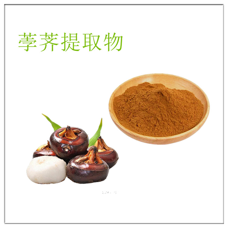 荸荠提取物 10:1 速溶粉 水提 浸膏 马蹄浓缩喷雾干燥 货源充足