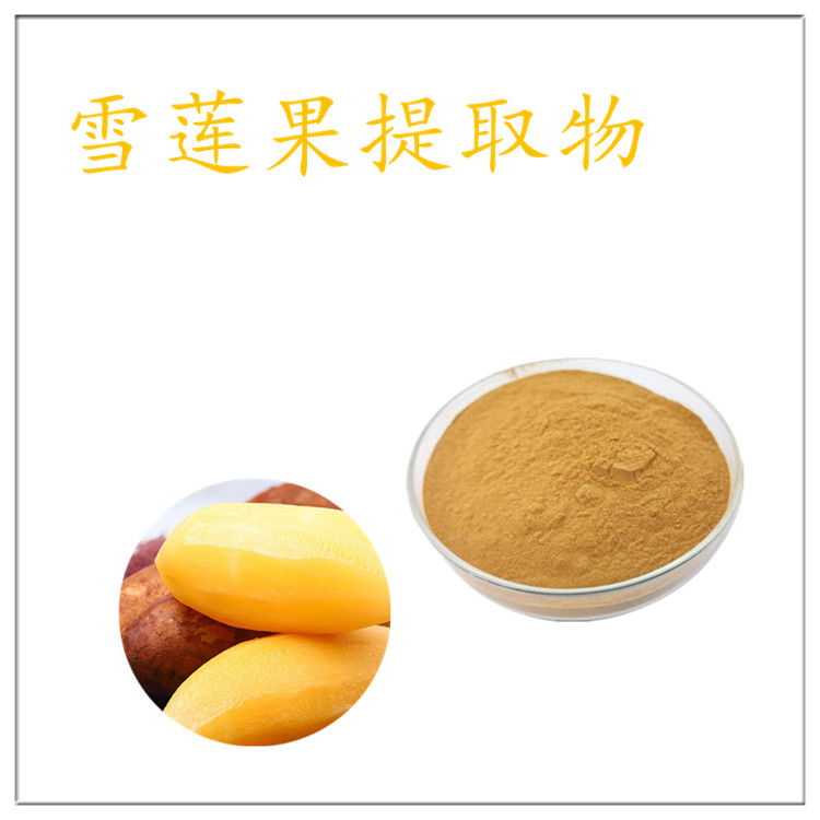 雪莲果提取物 雪莲果浓缩粉 10:1 浸膏粉 提取液 全溶于水 可定制