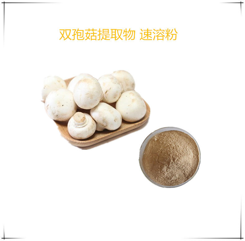 双孢菇提取物  喷雾干燥口蘑速溶粉 2公斤起订 支持发样