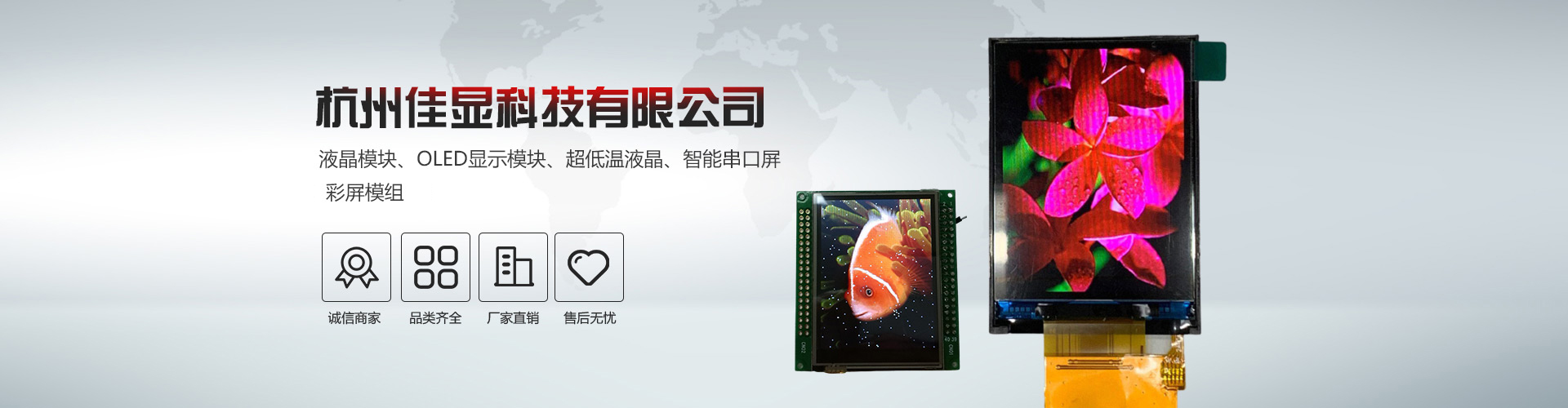 杭州佳显科技有限公司