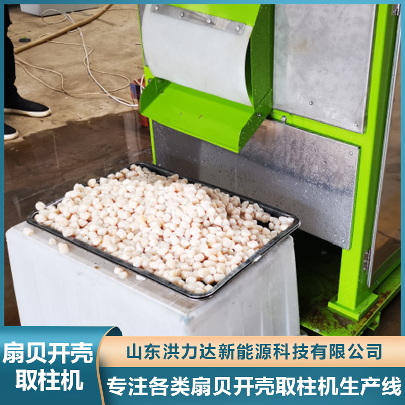 扇贝开壳机 扇贝取柱机 扇贝开壳取柱机 扇贝加工流水线