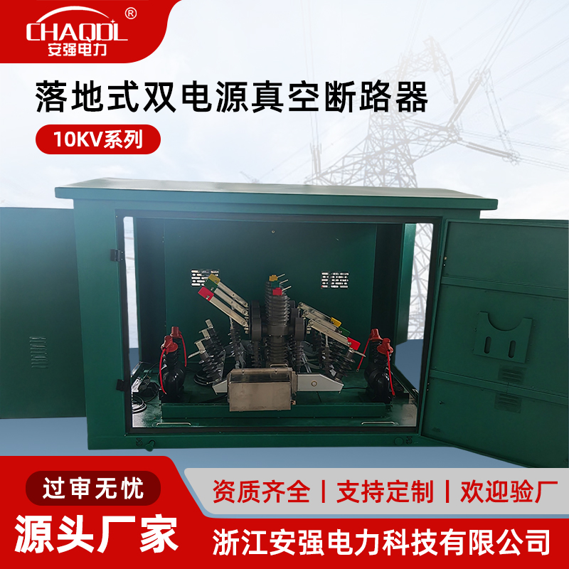 10KV落地式双电源真空断路器