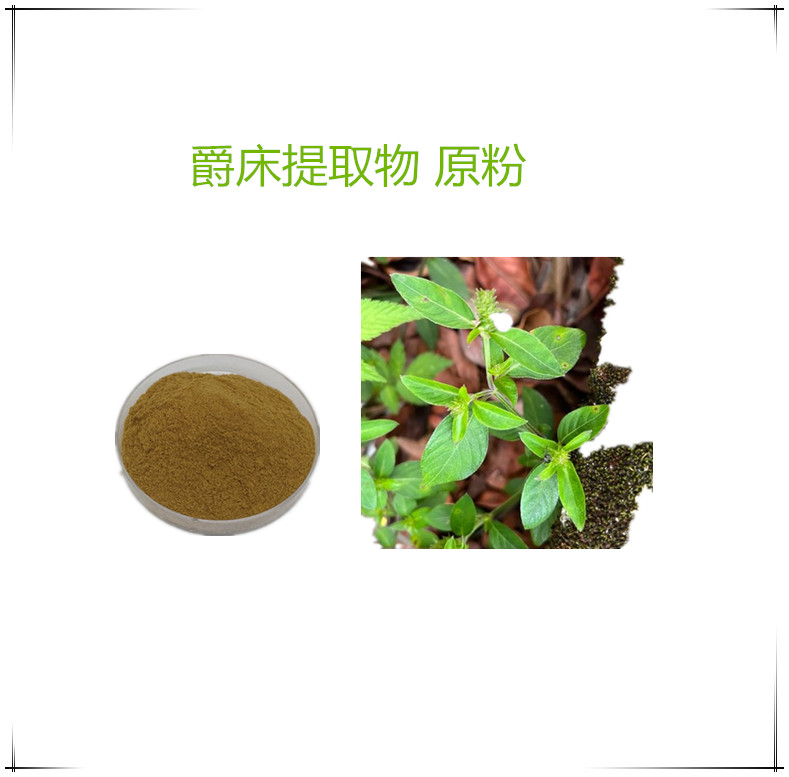 爵床提取物  喷雾干燥白花爵床速溶粉 2公斤起订 支持发样