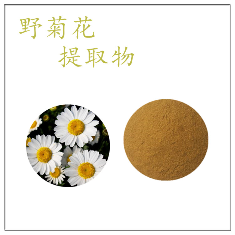 野菊花提取物 野菊花粉 10:1 食品级原料 速溶浓缩粉 资质齐全
