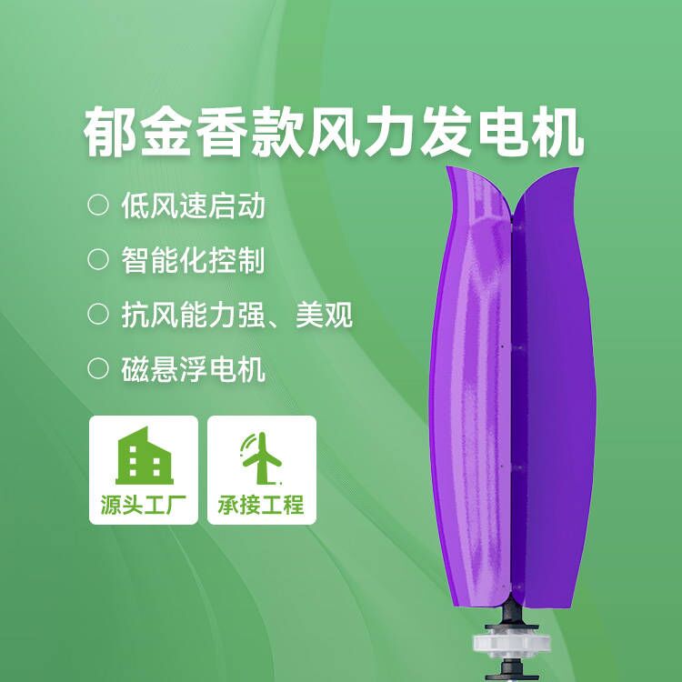 郁金香款风力发电机江苏展风新能源