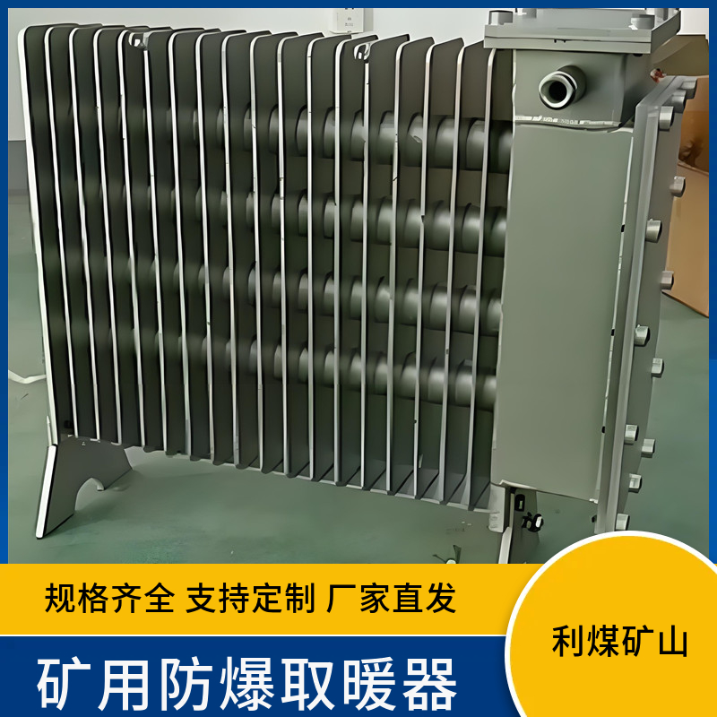 矿用防爆取暖器RBZ-2/127煤矿用隔爆兼增安型电热取暖器