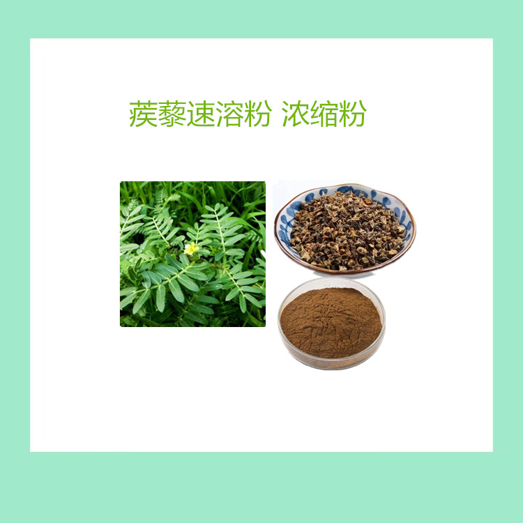 蒺藜粉 水溶性 食品级原料 植物萃取 厂家批发 包邮