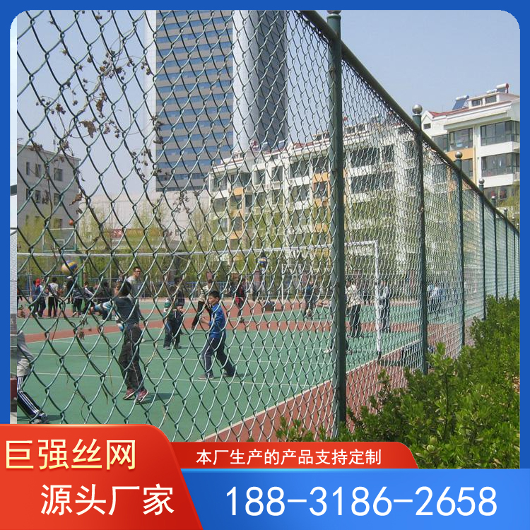 学校操场护栏网  勾花网护栏  体育场围网 巨强丝网