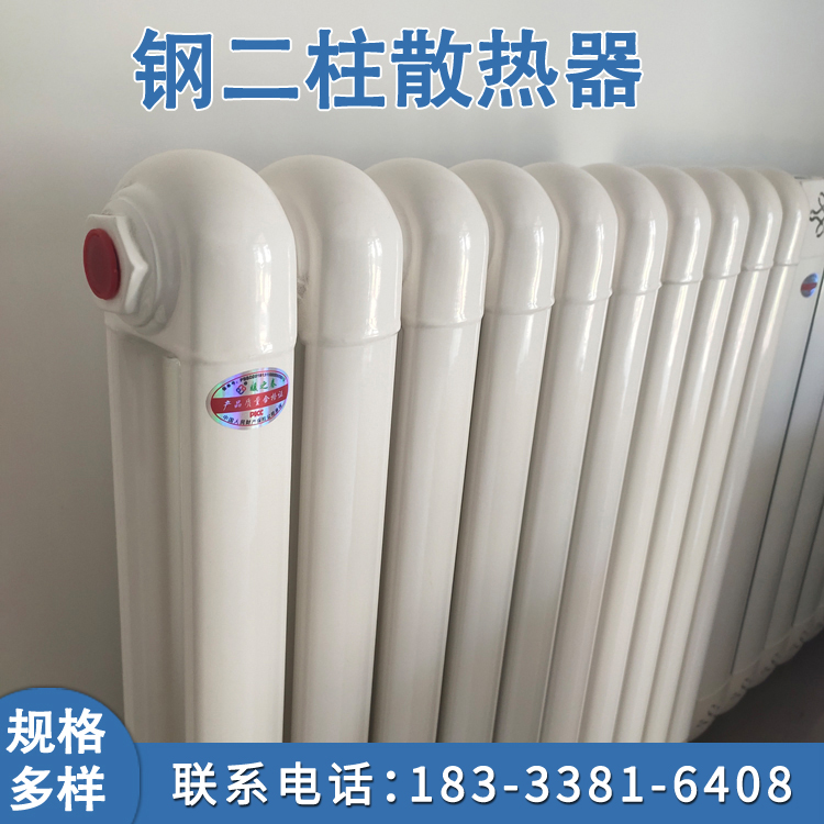 暖之春 钢二柱暖气片 60*30钢制柱型散热器 家用落地式双层防腐