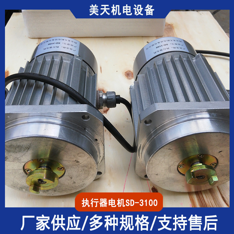 电动执行器电机SD-3100 单相伺服电机