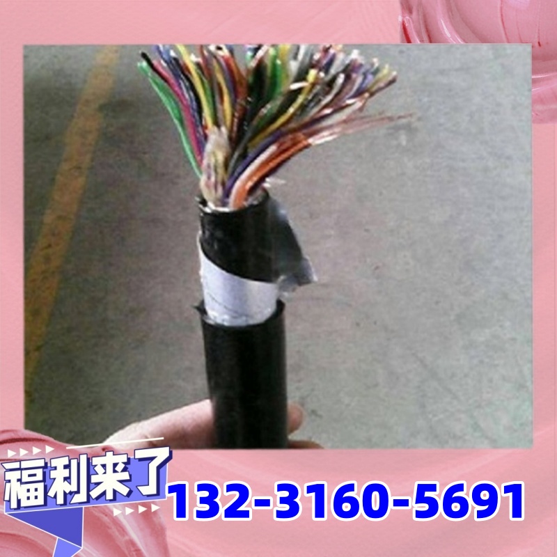 铁路信号电缆WDZB-PTYA23(PTYAH23)B级低烟无卤