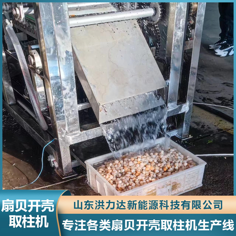 扇贝取柱机 生扇贝开壳取柱流水线 扇贝开壳去裙边机器