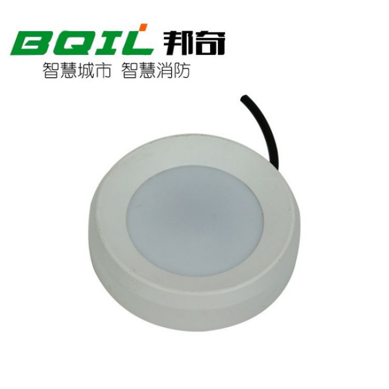 LED消防应急吸顶灯 90 分钟应急照明灯