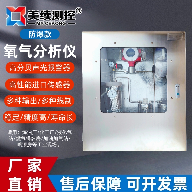 氧气分析仪 气体分析仪  氧含量检测仪 上海美续测控厂家直销