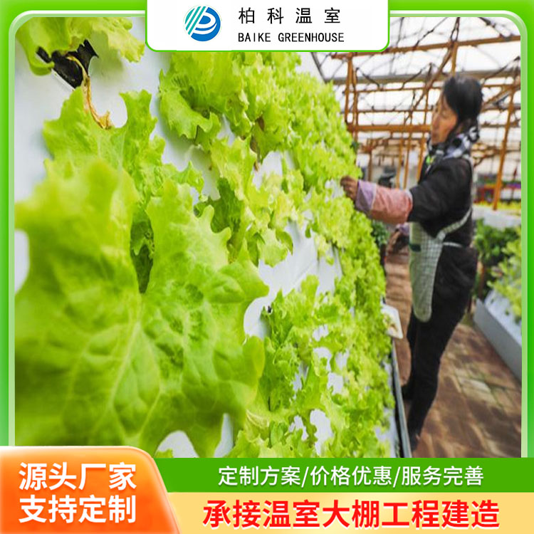 现代无土栽培大棚  智能控温 柏科阿姆