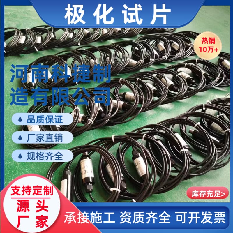 L485M极化试片阴极保护极化试片 埋地型测试桩电流检测片