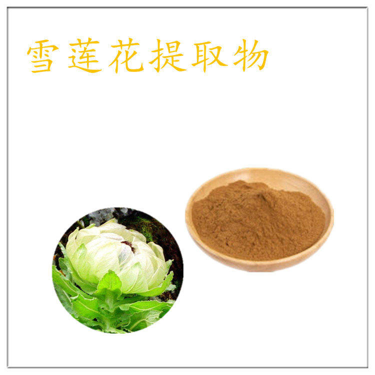 雪莲花提取物 提取液 雪莲花培养物 喷雾干燥工艺 雪莲花粉 包邮