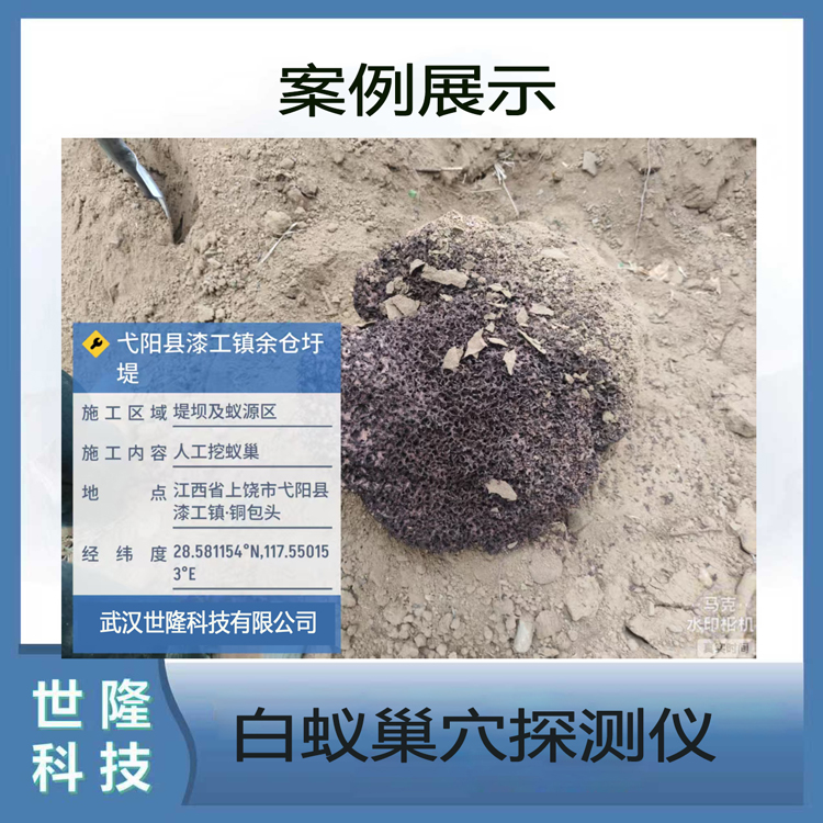 白蚁蚁穴探测设备 白蚁蚁巢探测仪  SL-termite白蚁蚁穴探测雷达