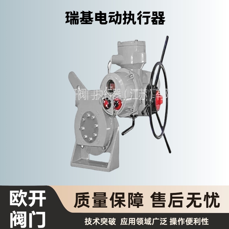瑞基电源板主板RLM10电动执行器 规格齐全 包邮